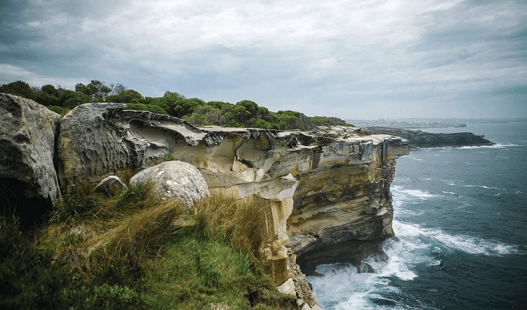 Sydney coastal design inspiration, Vogue & Vine landscape design
