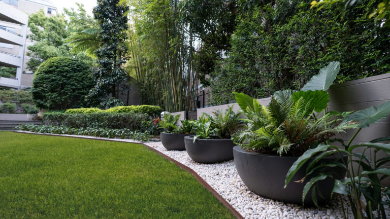 large apartment garden Rushcutters bay Sydney. Vogue & Vine Landscape Designers Sydney