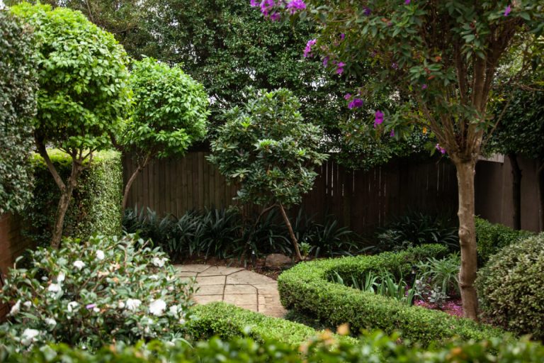 formal terrace garden design Sydney, Vogue & Vine - Landscape Designers Sydney