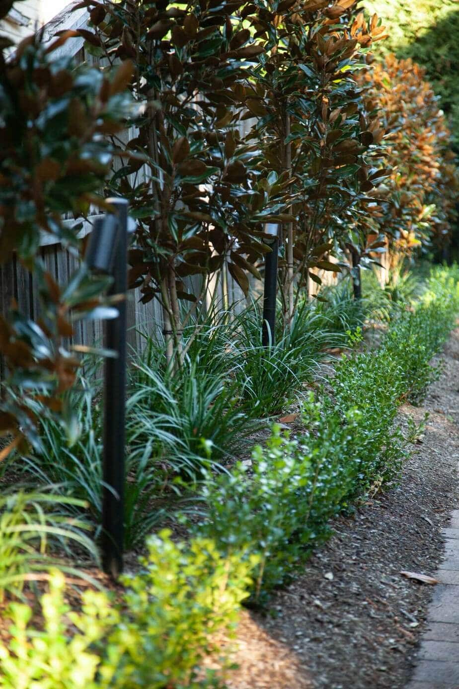 side garden design Eastern Suburbs Sydney. Vogue & Vine - Landscape Designers Sydney