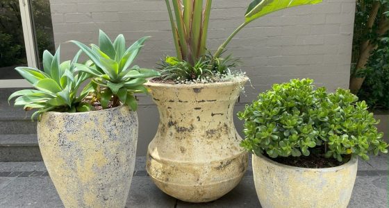 Aegean Stone Garden Pots | Vogue & Vine - Landscape Designers Sydney