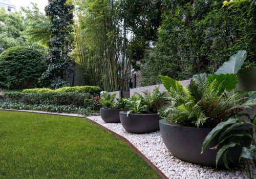 Apartment garden Rushcutters Bay | Vogue & Vine landscape design