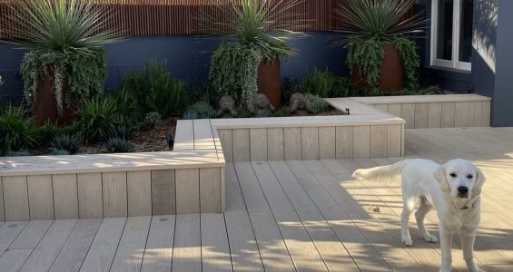 Best garden design Sydney |Dover Heights deck design Sydney. Vogue and Vine landscape design Sydney NSW