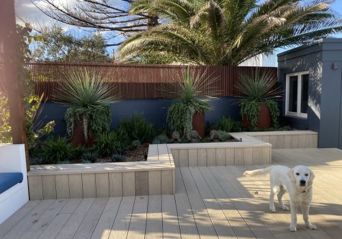 Best garden design Sydney |Dover Heights deck design Sydney. Vogue and Vine landscape design Sydney NSW