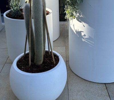 Globe lightweight outdoor pots | Vogue & Vine - Landscape Designers Sydney