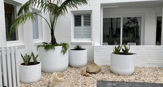 Lightweight Pots | Vogue & Vine - Landscape Designers Sydney