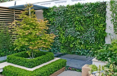 Residential Vertical Garden Sydney | Vogue & Vine - Landscape Designers Sydney