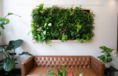 Residential Vertical Garden | Vogue & Vine - Landscape Designers Sydney