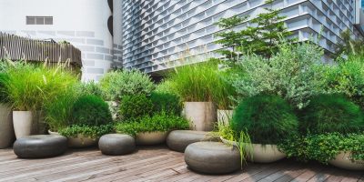 Rooftop Garden Design Sydney | Vogue & Vine - Landscape Designers Sydney