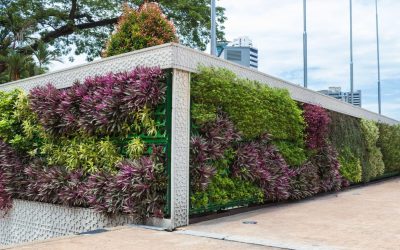 Vertical garden commercial | Vogue & Vine - Landscape Designers Sydney