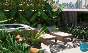 outdoor garden design Sydney | Landscape Designer Eastern Suburbs | Vogue & Vine Eastern Suburbs garden design company