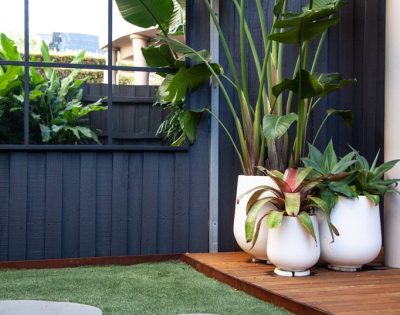 garden designer queens park | Vogue & Vine - Landscape Designers Sydney