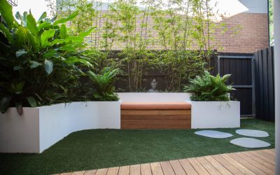 landscape designer queens park eastern suburbs | Vogue & Vine - Landscape Designers Sydney