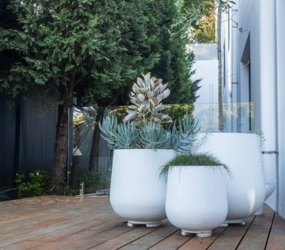 Balcony range white outdoor pots | Vogue & Vine - Landscape Designers Sydney