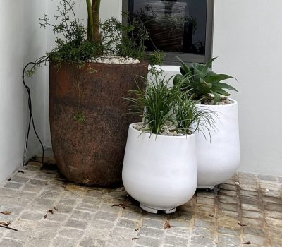 lightweight planter pot sydney | Vogue & Vine - Landscape Designers Sydney