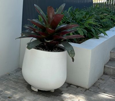 lightweight pot planter | Vogue & Vine - Landscape Designers Sydney